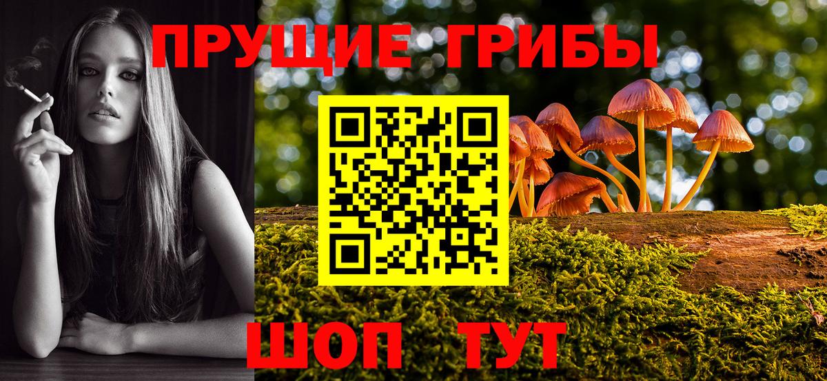Верхняя Салда  Галлюциногенные грибы Cubensis  Псилоцибиновые грибы прущие грибы  Вход с VPN 