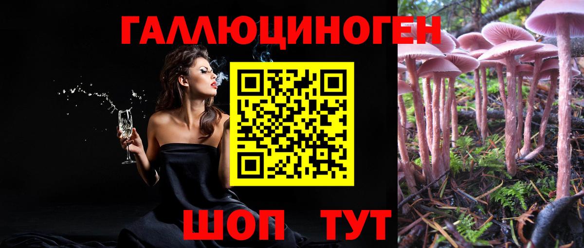 Галлюциногенные грибы мухоморы Верхняя Салда